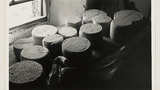 Cheesemaking: Finished Cheeses