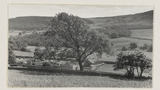 Dales Farmstead