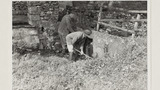 Old Sheep Washing Place: Outgang Beck