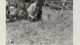 Old Sheep Washing Place: Outgang Beck