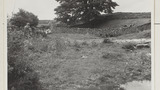 Gathering Sheep for Washing: Outgang Beck
