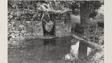 Sheep Washing: Outgang Beck