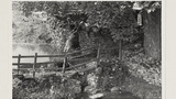 Sheep Washing: Outgang Beck