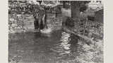 Sheep Washing: Outgang Beck