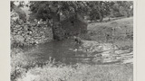 Sheep Washing: Outgang Beck