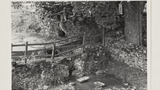 Sheep Washing: Outgang Beck