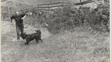 Sheep Washing: Outgang Beck