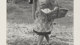 Sheep Washing: Outgang Beck