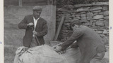 Packing Wool