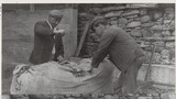 Packing Wool