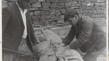 Packing Wool
