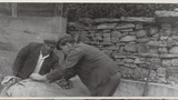 Packing Wool