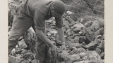 Dry Stone Walling