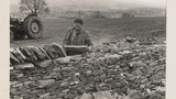 Dry Stone Walling