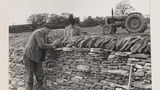 Dry Stone Walling