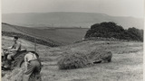 Haymaking: Hay Sledge and Tractor