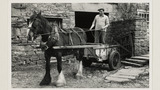 Manure Cart