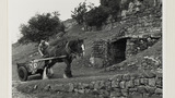 Manure Cart