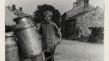 Milk Churns