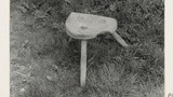 Milking Stool