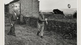 Quoits