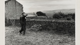 Quoits