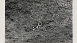 Quoits