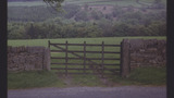 Dry Stone Wall and Gate