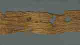 mummy cloth