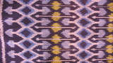 weft ikat