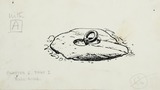 Bull-ring. Original drawing used in "Yorkshire Village" (1953), page 101