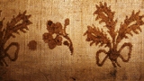 fragment