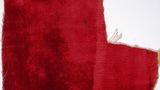 velvet fragment