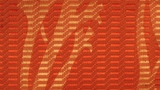 fragment