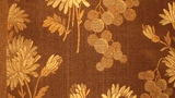 fragment