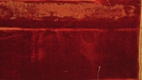 velvet fragment