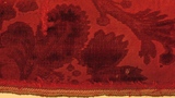 velvet fragment