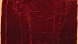 velvet fragment