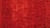 velvet fragment
