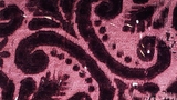 velvet fragment