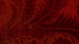 velvet fragment