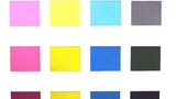 The actual separate components and the resulting compound shades [exhibit card]