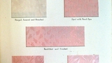 Lancashire Fabrics. Corset Cloth [exhibit card]