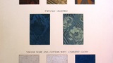 Cellulose Acetate and Viscose Artificial Silk Linings [exhibit card]