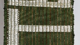 Aso-Oke cloth strip