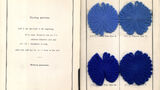 Victoria Pure Blue B on woollen yarn [dyeing samples]