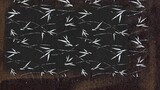 stencil