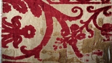 velvet fragment