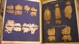 Textile Processes & Materials book [sample book]