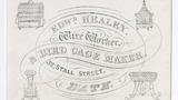 Edward Healey trade card